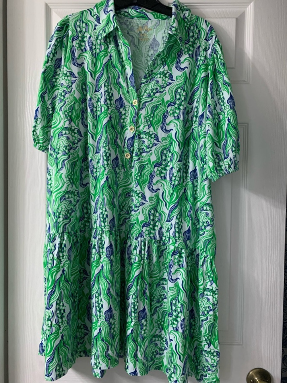 Lilly Pulitzer Bingley Dress - Picture 2 of 8